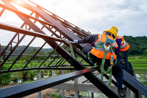 Best Affordable Roofing Company  in Montrose, MI