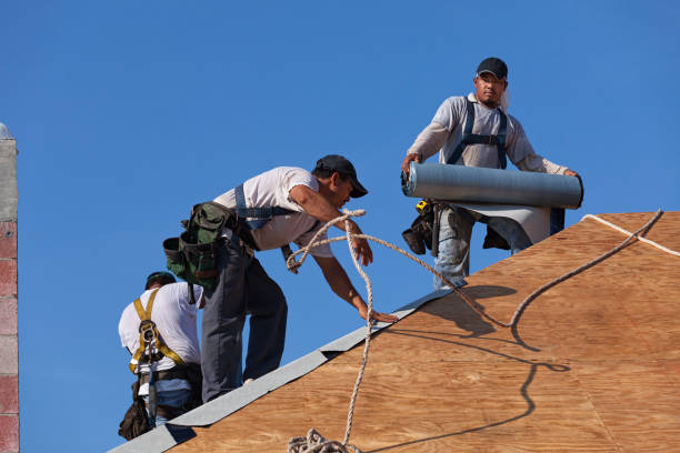 Best Roof Repair Services  in Montrose, MI