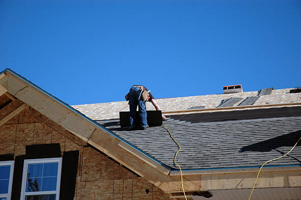 Best Local Roofing Companies  in Montrose, MI